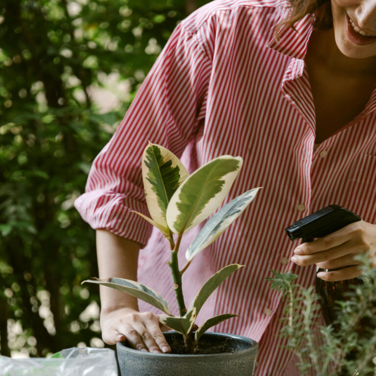 aplicaciones para el cuidado de plantas