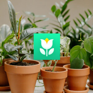 App Plant Parent en español