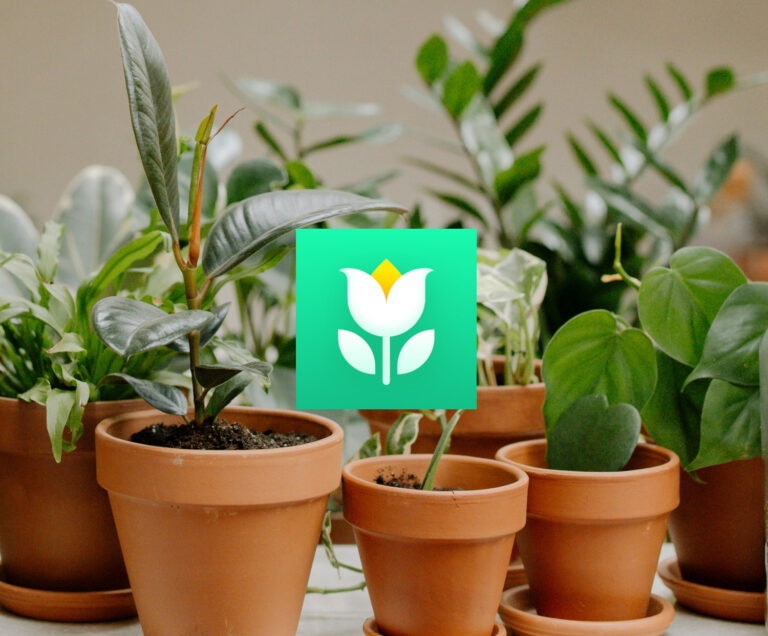 App Plant Parent en español