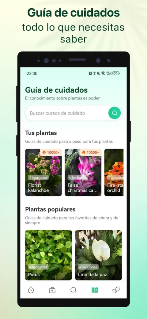 Captura de guía de cuidados